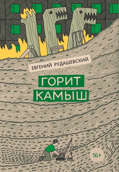 Обложка книги «Горит камыш»