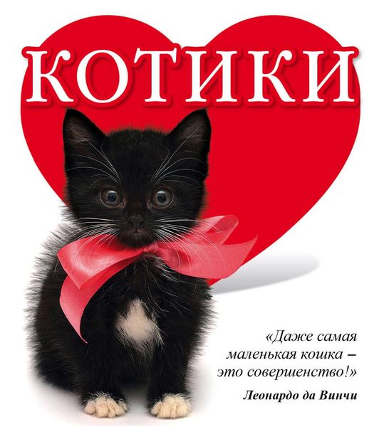 Обложка книги  «Котики»