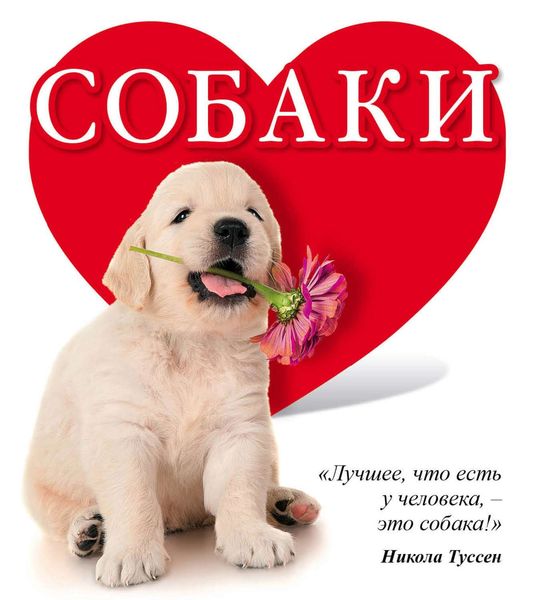 Обложка книги  «Собаки»