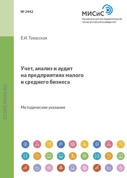 Обложка книги  «Учет, анализ и аудит на предприятиях малого и среднего бизнеса. Методические указания к проведению практических занятий»