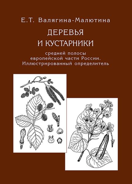 Обложка книги  «Деревья и кустарники средней полосы европейской части России. Иллюстрированный определитель»
