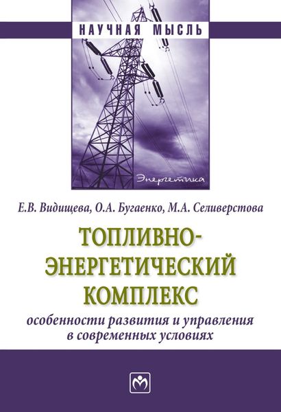 Обложка книги  «Топливно-энергетический комплекс:особенности развития и управления в современных условиях»