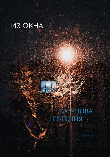 Обложка книги  «Из окна»