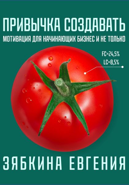 Обложка книги «Привычка создавать: мотивация для начинающих бизнес и не только»