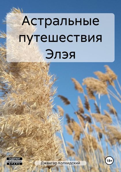 Обложка книги  «Астральные путешествия Элэя»