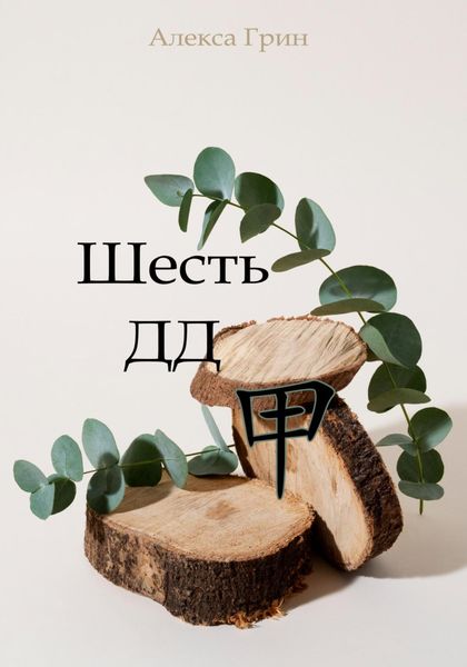 Обложка книги  «Шесть ДД 甲»