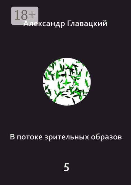 Обложка книги  «В потоке зрительных образов – 5»