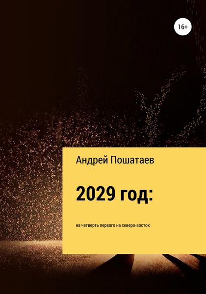 Обложка книги  «2029 год: на четверть первого на северо-восток»
