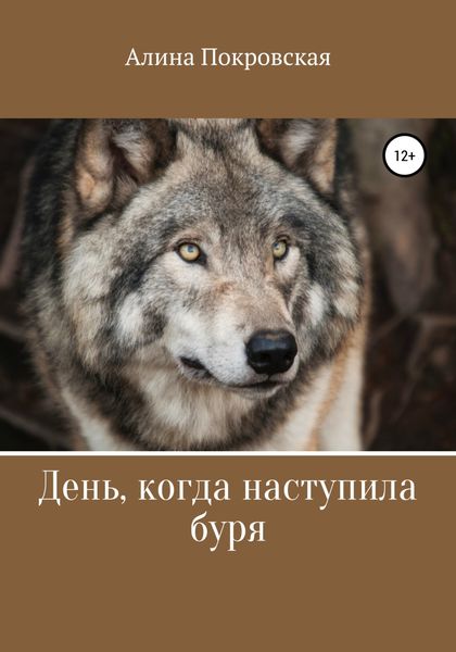 Обложка книги  «День, когда наступила буря»