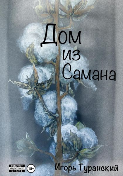 Обложка книги  «Дом из самана»