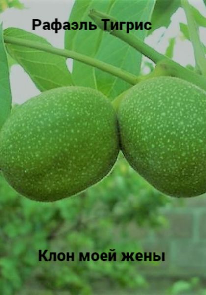 Обложка книги  «Клон моей жены»