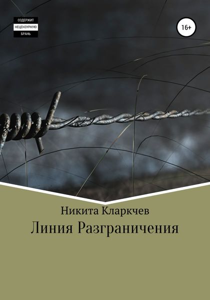Обложка книги  «Линия разграничения»
