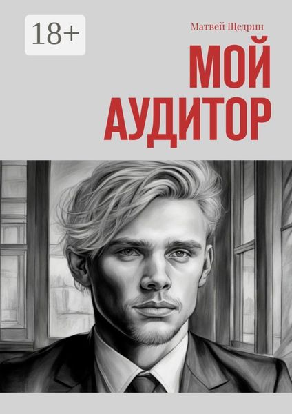 Обложка книги  «Мой аудитор»