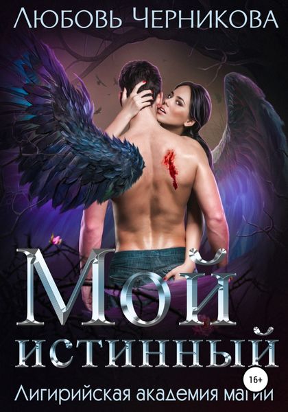 Обложка книги  «Мой истинный»