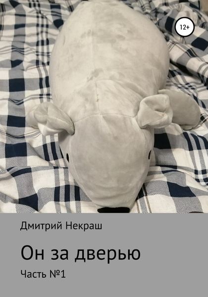 Обложка книги  «Он за дверью»