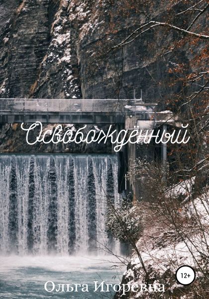 Обложка книги  «Освобождённый»
