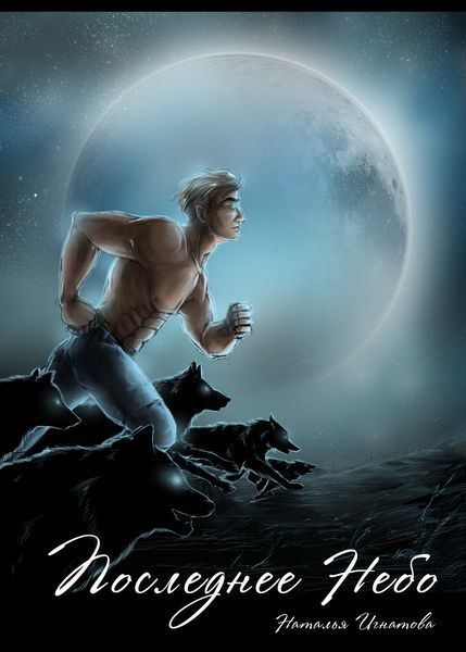 Обложка книги  «Последнее небо»