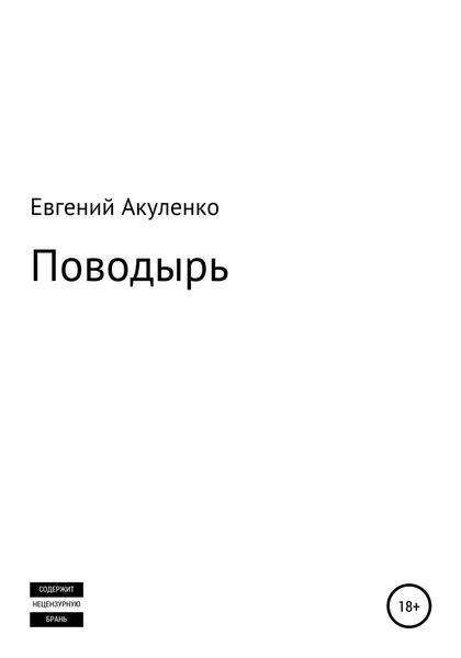 Обложка книги  «Поводырь»