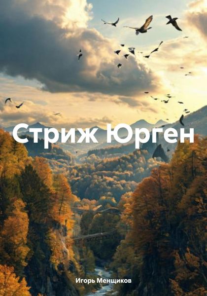 Обложка книги  «Стриж Юрген»