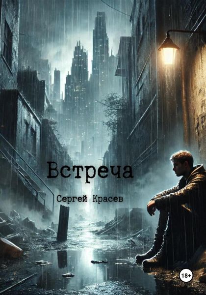 Обложка книги  «Встреча»