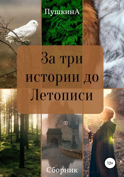 Обложка книги  «За три истории до Летописи»