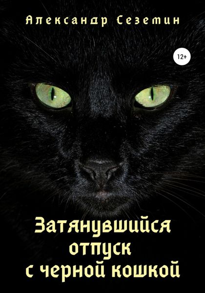 Обложка книги  «Затянувшийся отпуск с черной кошкой»