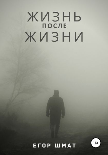 Обложка книги  «Жизнь после Жизни»