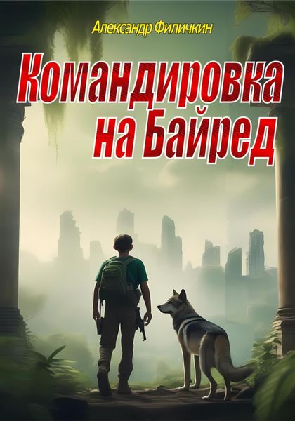 Обложка книги «Командировка на Байред»