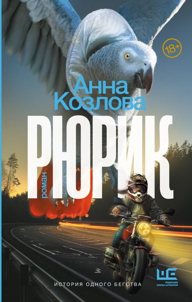 Обложка книги  «Рюрик»