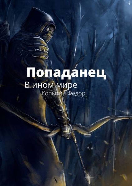 Обложка книги «Попаданец. В ином мире»