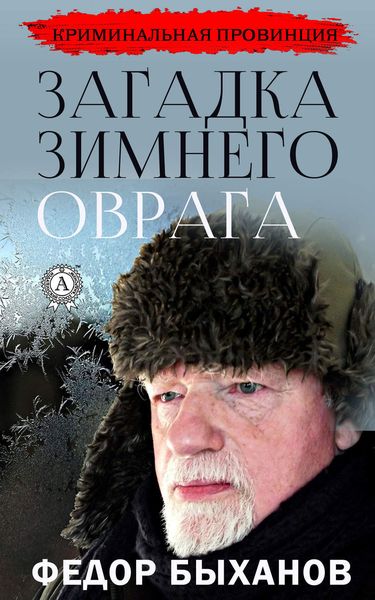 Обложка книги  «Загадка зимнего оврага»