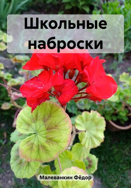 Обложка книги «Школьные наброски»