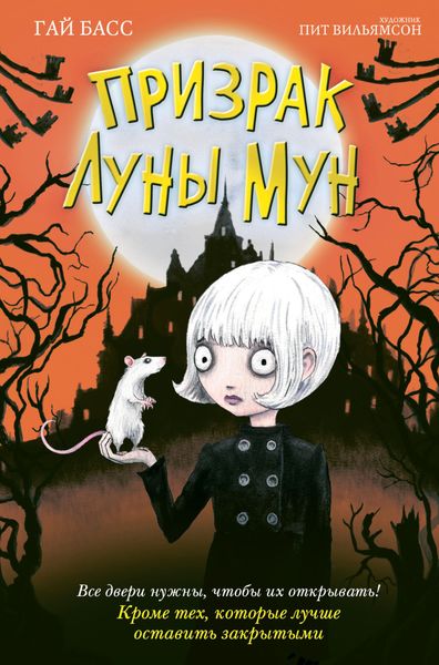 Обложка книги «Призрак Луны Мун»