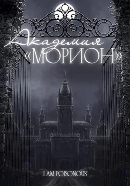 Обложка книги  «Академия «Морион»»