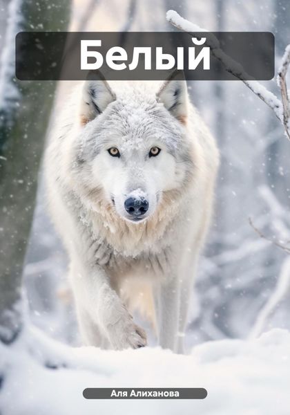 Обложка книги  «Белый»