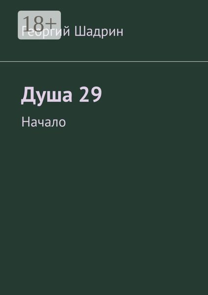 Обложка книги  «Душа 29. Начало»