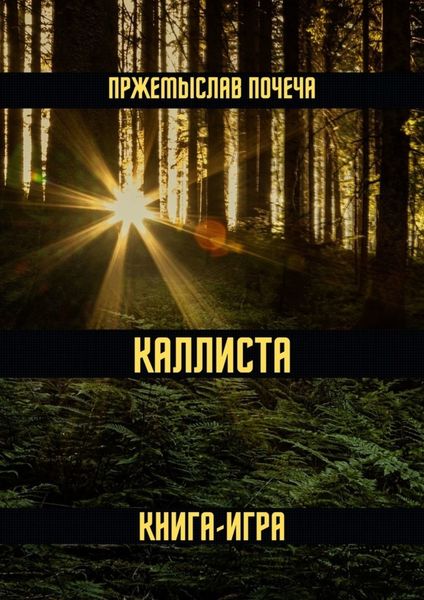 Обложка книги  «Каллиста. Книга-игра»