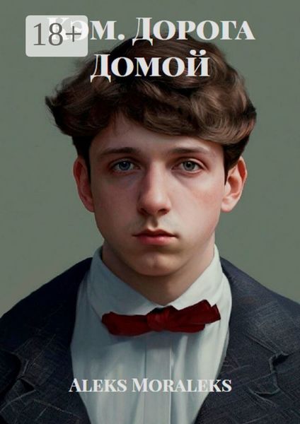 Обложка книги «Кэм. Дорога Домой»