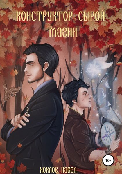 Обложка книги  «Конструктор сырой магии»