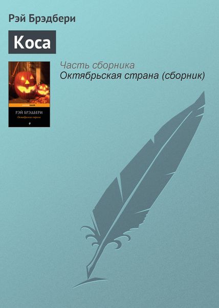 Обложка книги  «Коса»