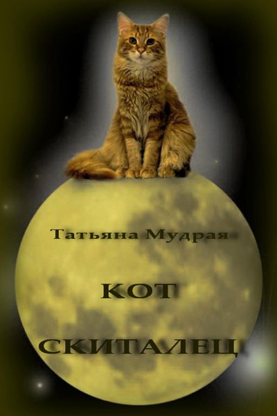 Обложка книги  «Кот-Скиталец»