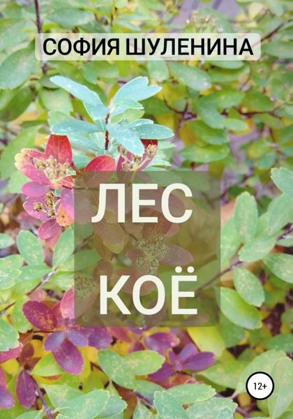 Обложка книги  «Лес Коё»
