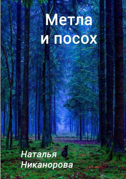 Обложка книги  «Метла и посох»