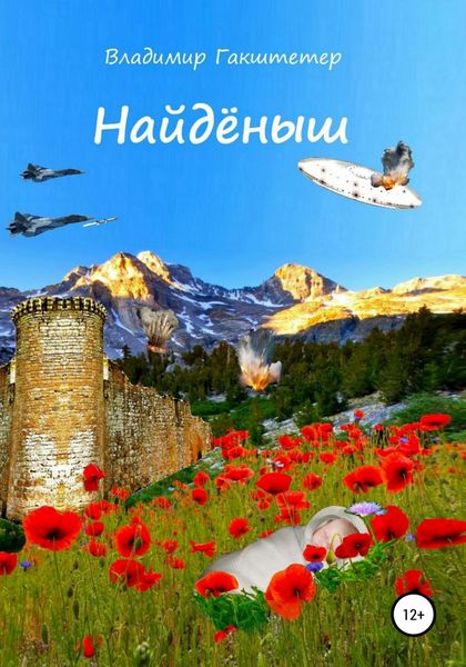 Обложка книги  «Найдёныш»