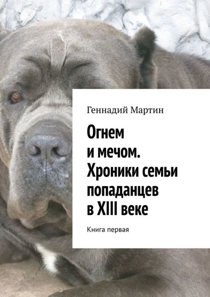 Обложка книги  «Огнем и мечом. Хроники семьи попаданцев в XIII веке. Книга первая»