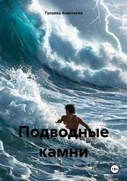Обложка книги  «Подводные камни»
