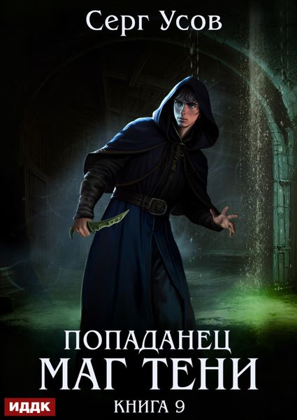 Обложка книги «Попаданец. Маг Тени. Книга 9»