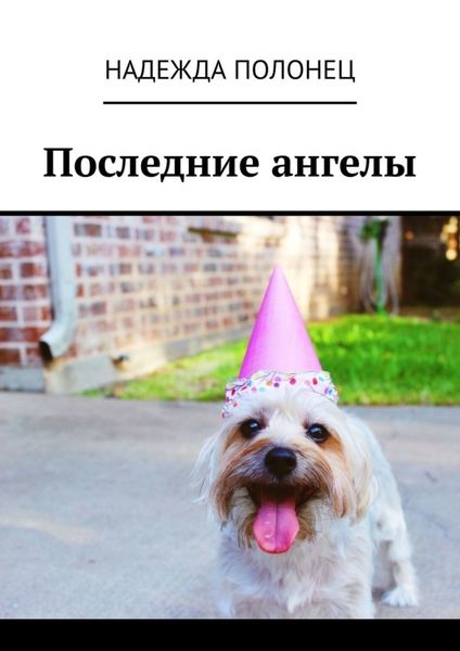 Обложка книги  «Последние ангелы»