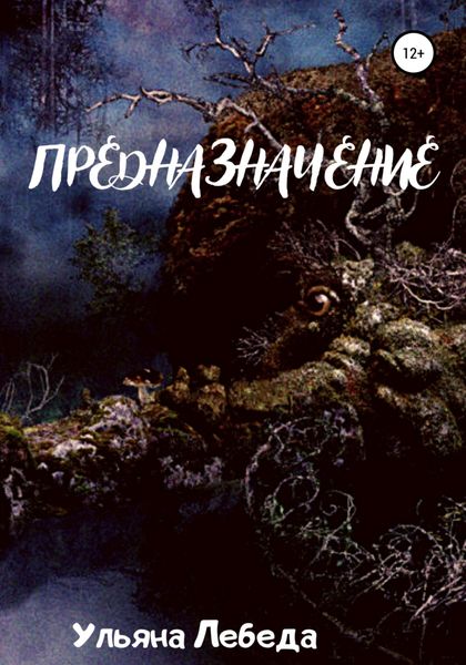Обложка книги  «Предназначение»