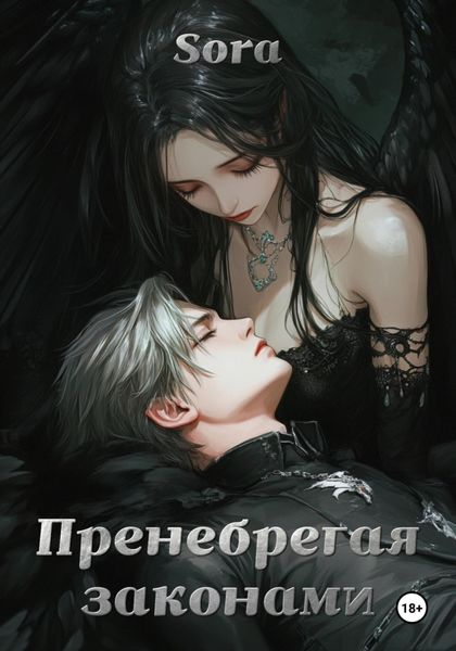 Обложка книги  «Пренебрегая законами»